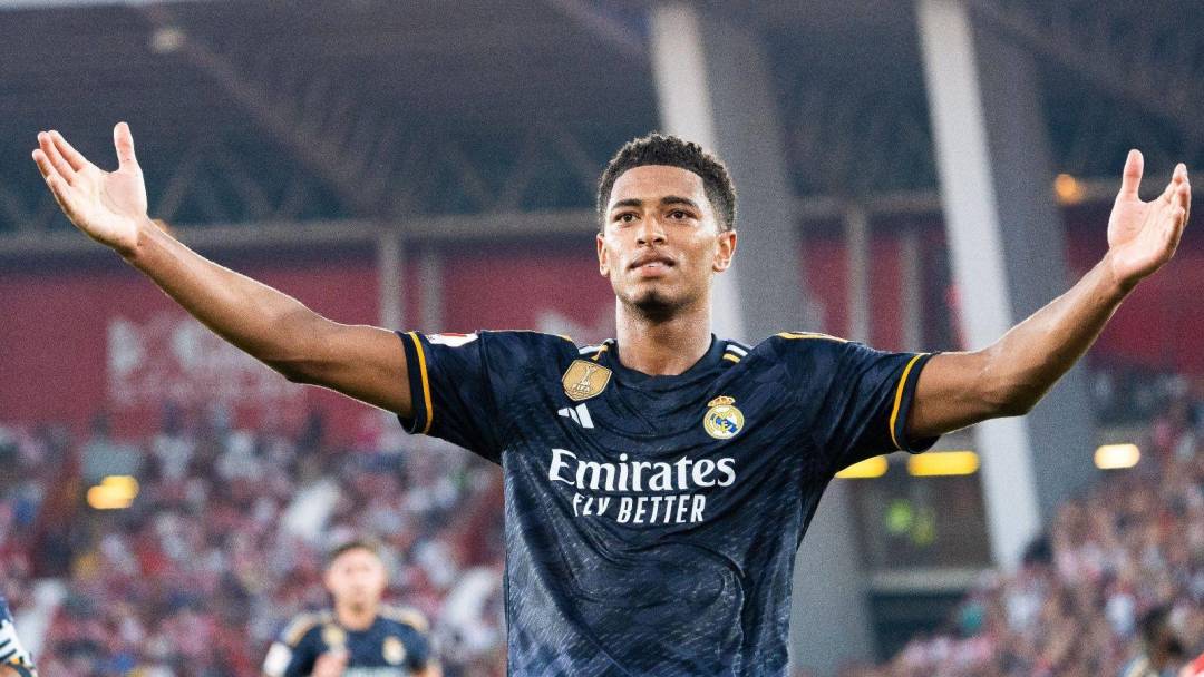 交易节奏向 交易节奏向